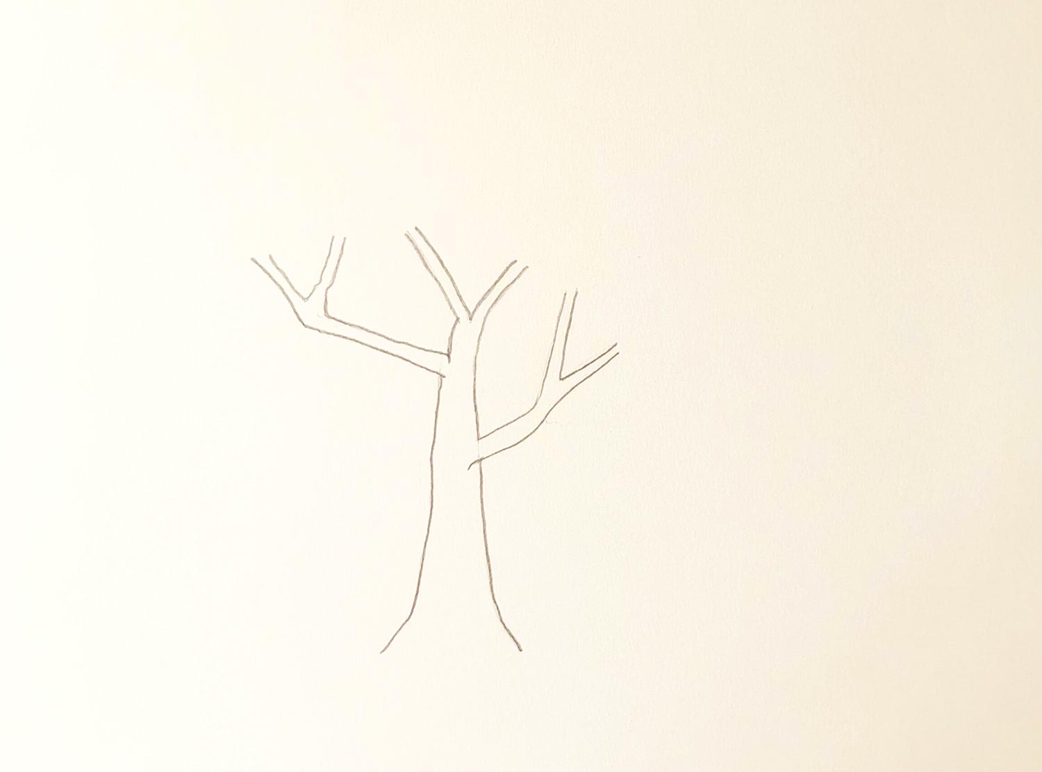 Dessiner Un Arbre Canson®